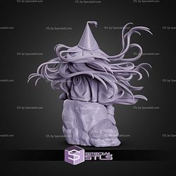 Richeh Witch Hat Atelier 185mm STL Files