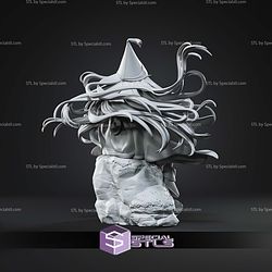 Richeh Witch Hat Atelier 185mm STL Files