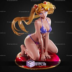 Sailor Moon On Knee ALT STL Files