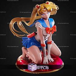 Sailor Moon On Knee STL Files