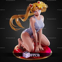 Sailor Moon On Knee STL Files
