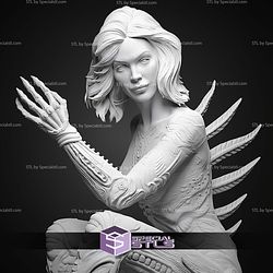 Sil Species 1995 STL Files