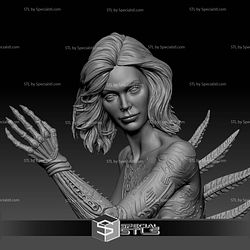 Sil Species 1995 STL Files