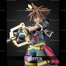 Sora Kingdom Hearts Close Eyes 274mm STL Files
