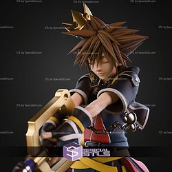 Sora Kingdom Hearts Close Eyes 274mm STL Files