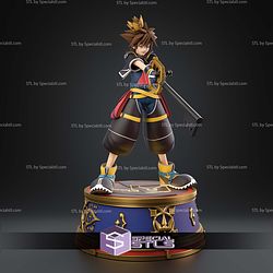 Sora Kingdom Hearts Close Eyes 274mm STL Files