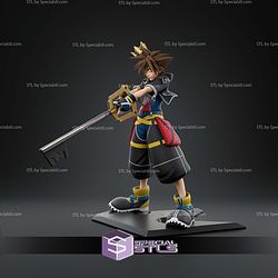 Sora Kingdom Hearts Close Eyes 274mm STL Files