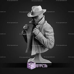 Spider Noir Street Bust 101mm STL Files