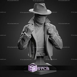 Spider Noir Street Bust 101mm STL Files