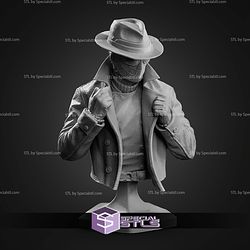 Spider Noir Street Bust 101mm STL Files