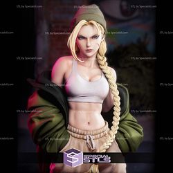StreetWear Cammy STL Files