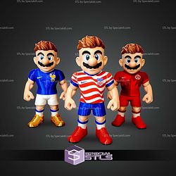 Super Basic STL Mario Bros Canada No AMS