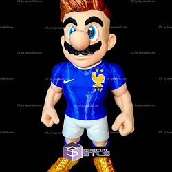 Super Basic STL Mario Bros France No AMS