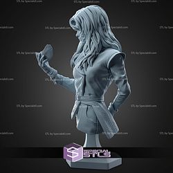 Alicia Clair Obscur Expedition 33 Bust 105mm STL Files