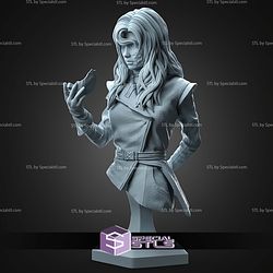 Alicia Clair Obscur Expedition 33 Bust 105mm STL Files