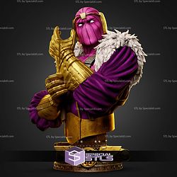 Baron Portrait Bust 398mm STL Files