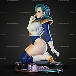 Bulma Curvy Armor STL Files