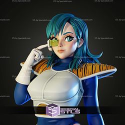 Bulma Curvy Armor STL Files
