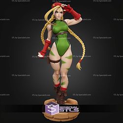 Cammy White Street Fighter Signature STL Files