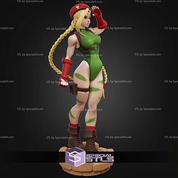 Cammy White Street Fighter Signature STL Files