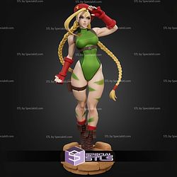 Cammy White Street Fighter Signature STL Files