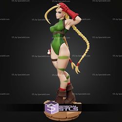 Cammy White Street Fighter Signature STL Files