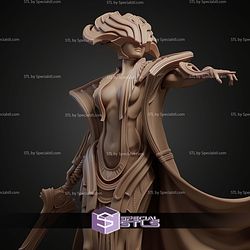 Incarnation Of Destiny STL Files