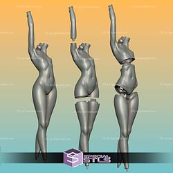 Otogi Summer 250mm STL Files