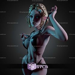 Princess Zelda Dark Version STL Files
