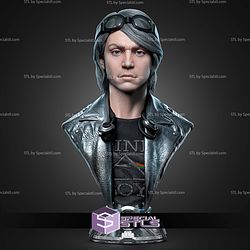 Quick Silver Portrait Bust 329mm STL Files