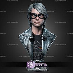 Quick Silver Portrait Bust 329mm STL Files