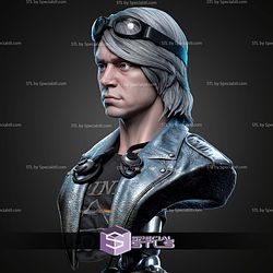 Quick Silver Portrait Bust 329mm STL Files