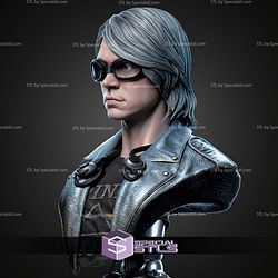 Quick Silver Portrait Bust 329mm STL Files
