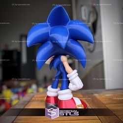 Super Basic STL Sonic No Ams