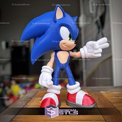 Super Basic STL Sonic No Ams
