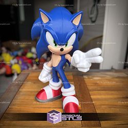 Super Basic STL Sonic No Ams