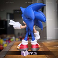 Super Basic STL Sonic No Ams
