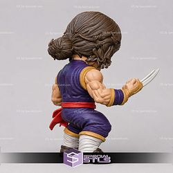Super Basic STL Vega No AMS Street Fighter