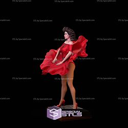 The Woman In Red 1984 STL Files