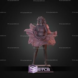 The Woman In Red 1984 STL Files