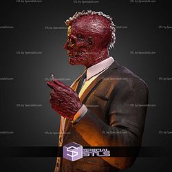 Two Face And The Coin 1 6 STL Files