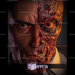Two Face And The Coin 1 6 STL Files