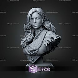 Yennefer The Witcher Bust 119mm STL Files