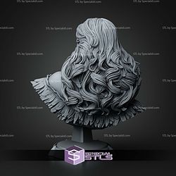 Yennefer The Witcher Bust 119mm STL Files