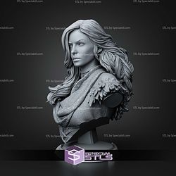 Yennefer The Witcher Bust 119mm STL Files