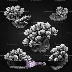June 2026 Fantastic Plants and Rocks Miniatures