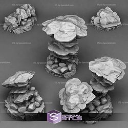 June 2026 Fantastic Plants and Rocks Miniatures