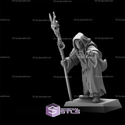 May 2026 Last Sword Miniatures