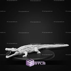 May 2026 Set 151 - Primal Jungle Epic Miniatures