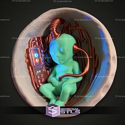Basic STL Collection Alien Meteor